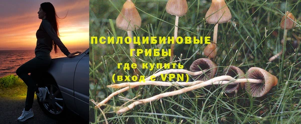 дурь Магадан