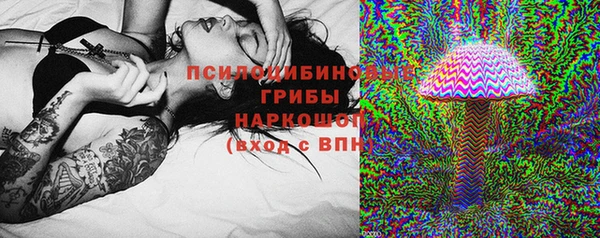 МДПВ Липки